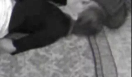 مادر,و,خوب,کثیف, انگلیسی, عکس کس پورن پوستر,